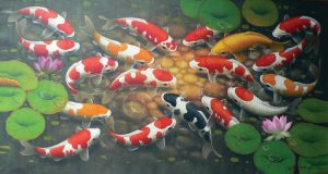 HỒ CÁ KOI