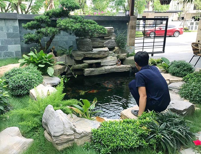 chi phí hồ cá Chi phí hồ