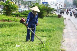 dịch vụ chăm sóc mảng xanh tại Bàu Bàng Bình Dương